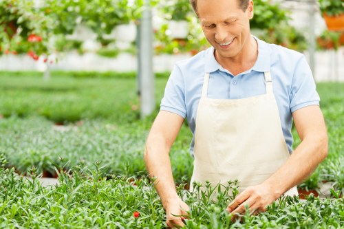 Tree care professionals in Brixton managing trees with expert equipment