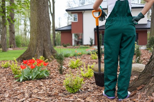 Tidy post-pruning tree care for a Brixton property